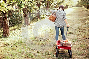 Girl with Apple in the Apple Orchard