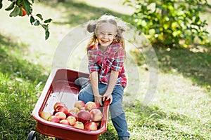 Girl with Apple in the Apple Orchard