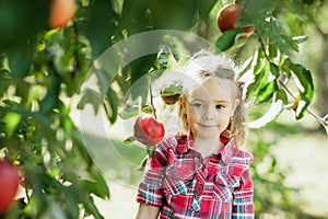 Girl with Apple in the Apple Orchard