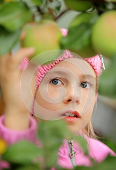 The girl and an apple-tree