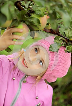The girl and an apple-tree