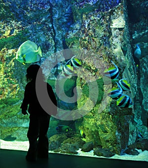 Girl in the aquarium