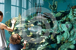 Girl Aquarium Exploration