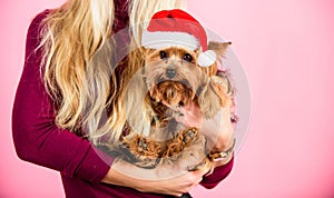 Girl attractive blonde hold dog pet pink background. Woman and yorkshire terrier wear santa hat. Celebrate christmas