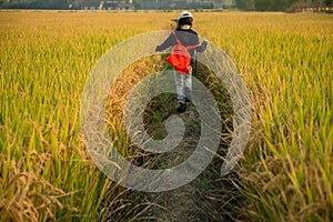 Girl in the autumn field