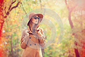 Girl in the autumn park.