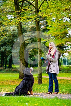 Girl in autumn park training her dog in obedience