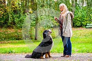 Girl in autumn park training her dog in obedience photo