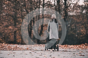 Girl in the autumn park walks with a stroller