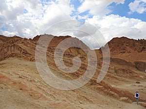 Girl, back view, face not visible goes to mountain oasis of Chebika with palm trees in sandy Sahara desert, blue sky, Tunisia,