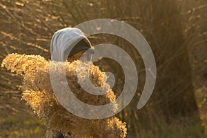 A girl on the background of reeds in the field, holding branches of reeds in her hand.