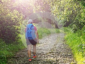 Girl with backpack travels along forest