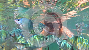 Girl bathe in the sea with fish. Scuba Diving in Masks