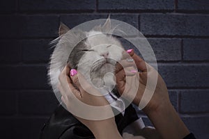 Girl with beautiful manicure stroking a cat