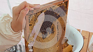 Girl beekeeper Unseal Honeycomb. A close-up knife opens honeycomb with honey on frame made of beehive.