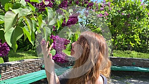 Girl bends a branch with a red lilac and inhales the aroma of spring flowers.