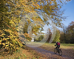 Girl on bicycle in autumn park on utrechtse heuvelrug in holland