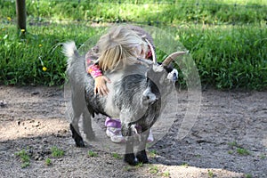 Girl with billy goat