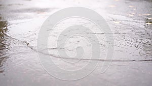 A girl in black leather boots walks in the autumn puddle during the rain in slow motion