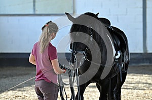 Girl and black stallion