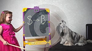 a girl on a blackboard shows a dog that it is necessary to invest dollars in the bitcoin cryptocurrency
