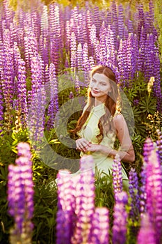 Girl among blossoming lupines
