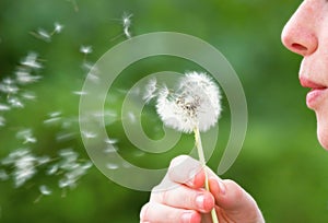 Girl Blowing on Dandelion