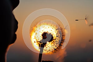 Girl blowing dandelion