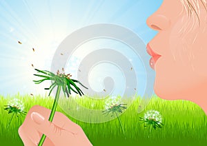 Girl blowing dandelion on summer field