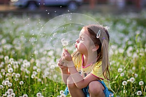 The girl blows off fuzzes from a dandelion on a clearing