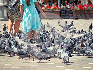 Girl in a blue dress surrounded by many pigeons in Victoriei Square, Timisoara