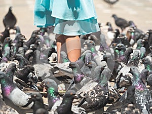 Girl in a blue dress surrounded by many pigeons in Victory Square Piata Victoriei, Timisoara