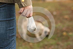 A girl in blue jeans stands with her back and holds in her hands a plastic bag with dog excrement. young pug dog on the background