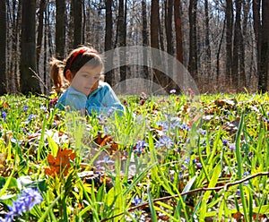 Girl in bluebell woods photo