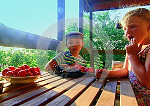 Girl and boy with fruit in the garden. Beautiful little farmer girl and boy eating organic fruits, grapes, apples. The