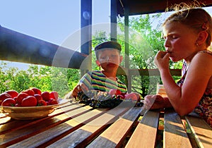 Girl and boy with fruit in the garden. Beautiful little farmer girl and boy eating organic fruits, grapes, apples. The