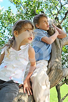Girl and boy sit on caudex of lilac and look aside