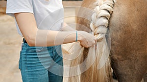 Girl Braiding The Blonde Tail Of Her Palomino Horse Standing Outside The Stable