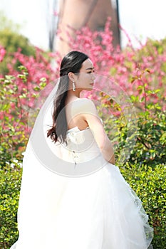 Girl bride in wedding dress with elegant hairstyle, with white wedding dress in Green plants field