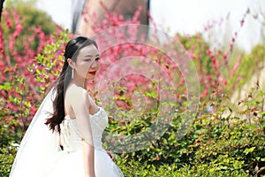 Girl bride in wedding dress with elegant hairstyle, with white wedding dress in Green plants field