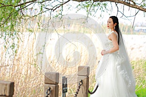 Girl bride in wedding dress with elegant hairstyle, with white wedding dress Standingin the grass by the river