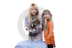 Girl is bringing cat for examination by vet