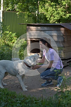 girl brunette teenager with Central Asian sheepdog