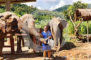 Girl caress three elephants at sanctuary in Chiang Mai Thailand