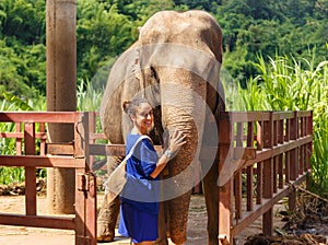 Girl caresss an elephant at sanctuary in Chiang Mai Thailand photo