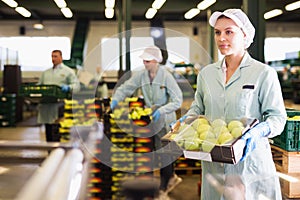 girl carrying box with packed apples to storage