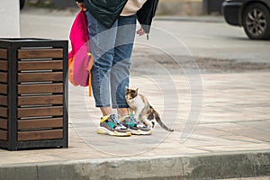 A girl in casual clothes stands on the sidewalk and strokes a stray cat