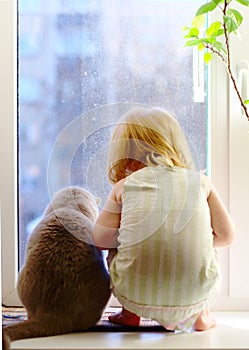 Girl and cat looking out of the window