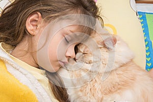 A girl and cat sweetly sleep in bed