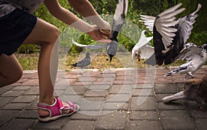 Girl catches pigeons in the park